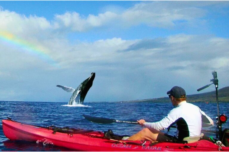 Kayak and Snorkel Tour at Maui