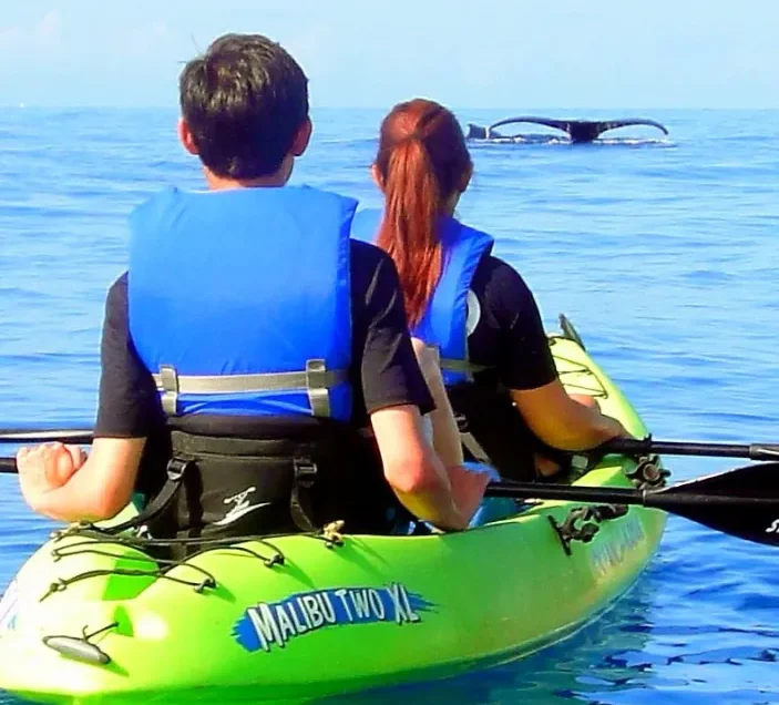 kayaking on sea